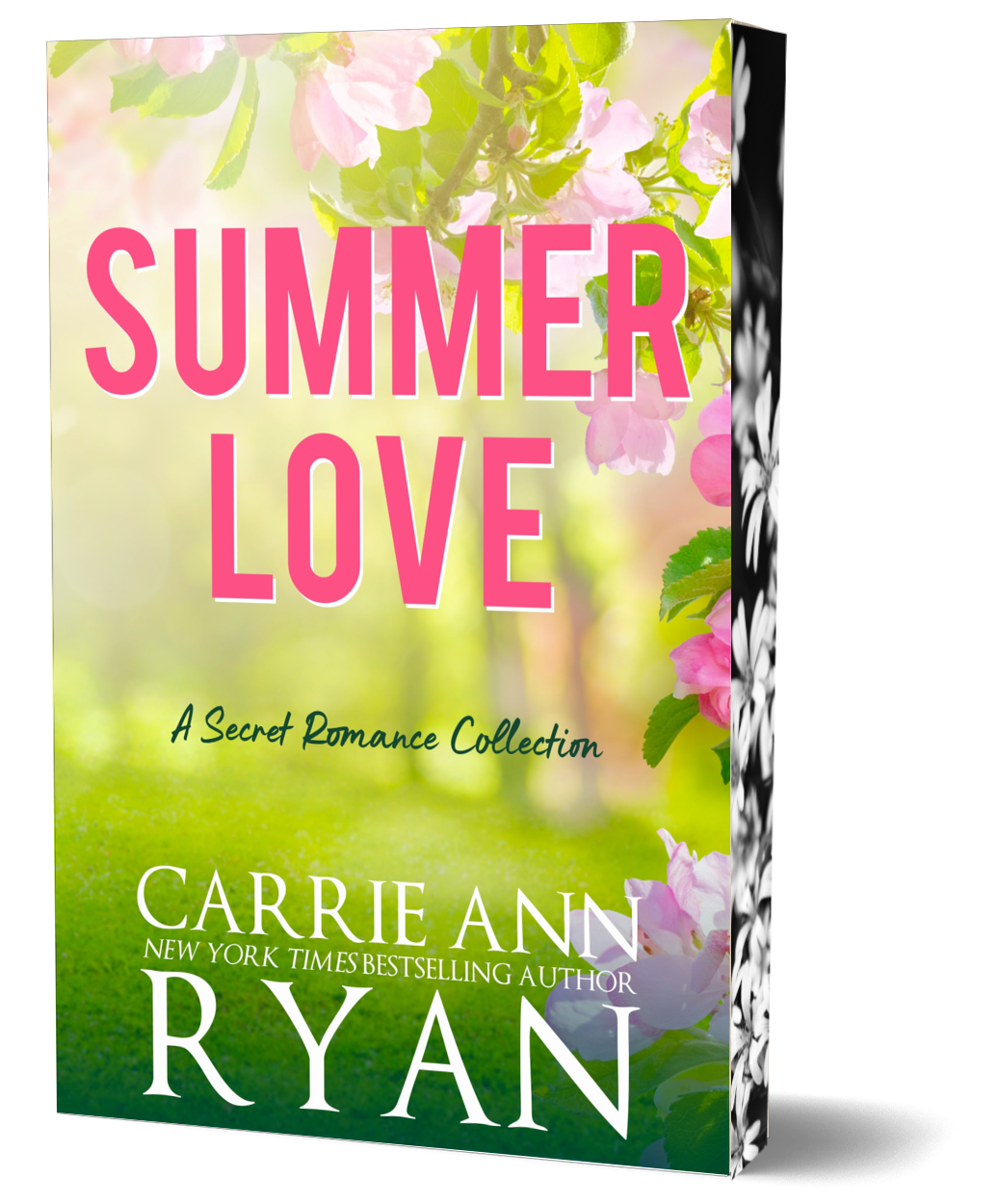 Summer Love: A Secret Romance Collection Paperback