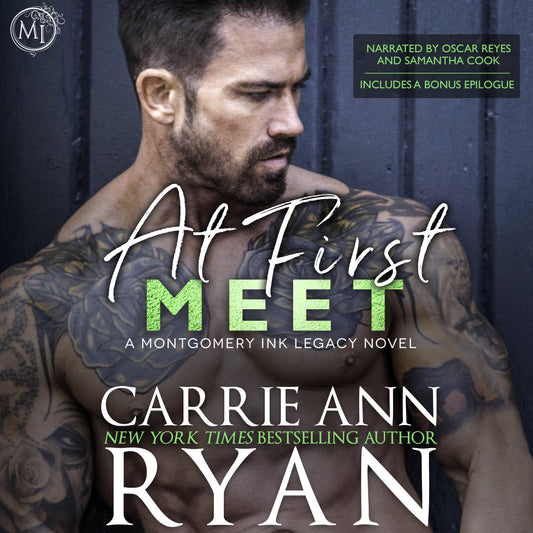 At First Meet AudioBook