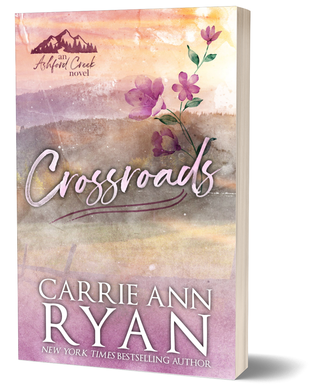 Crossroads Special Edition Paperback