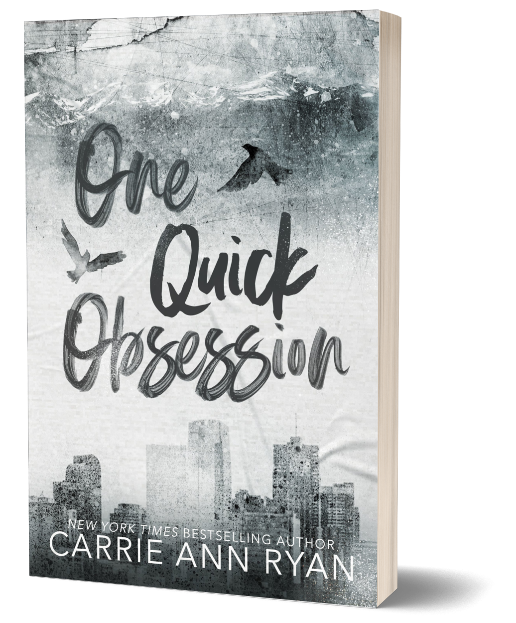 One Quick Obsession Special Edition Paperback