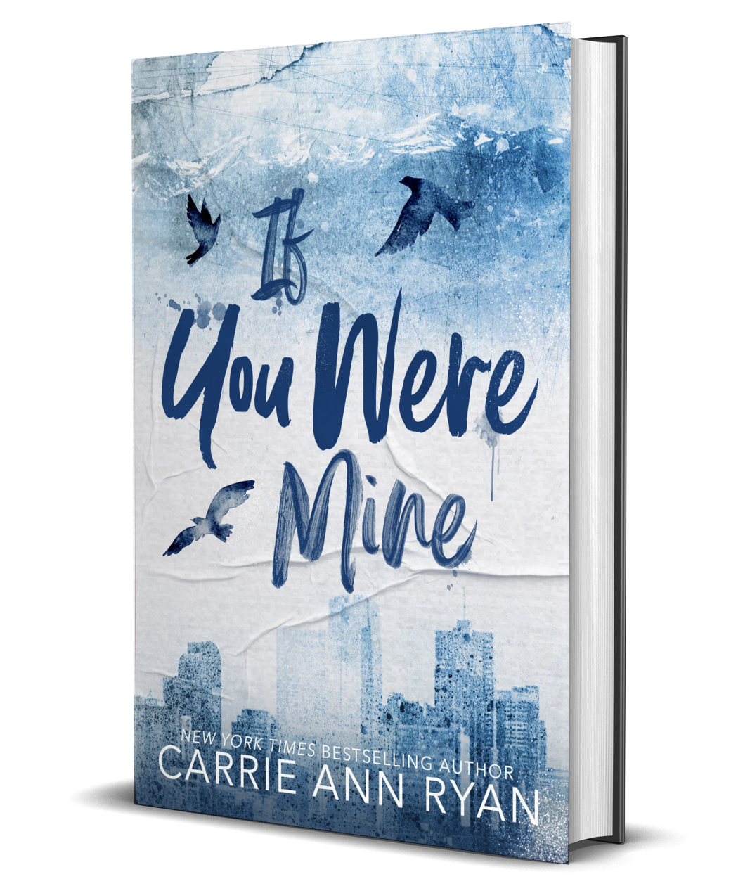 If You Were Mine Special Edition Hardcover