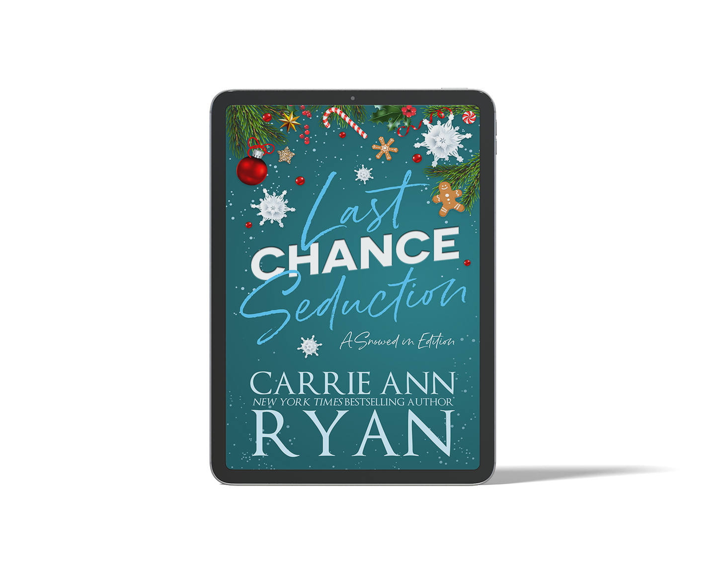 Last Chance Seduction - Snowed in Edition eBOOK