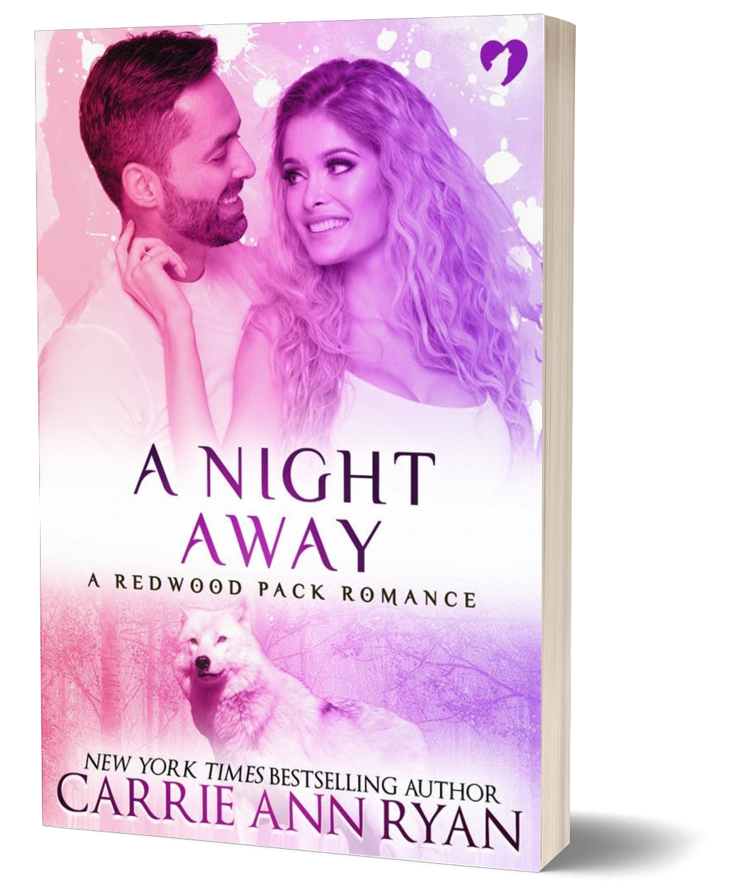 A Night Away - Paperback