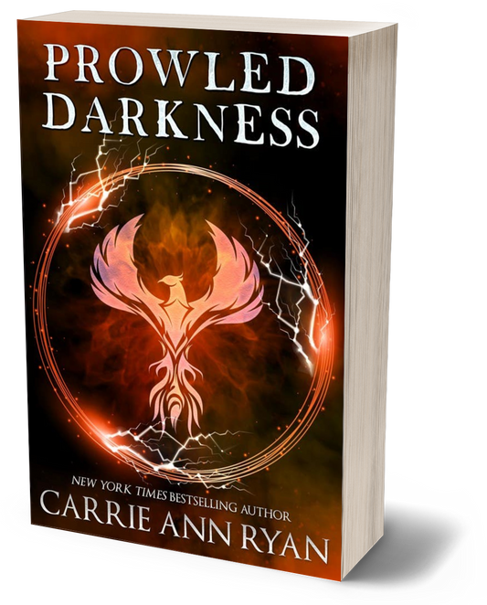 Prowled Darkness - Paperback