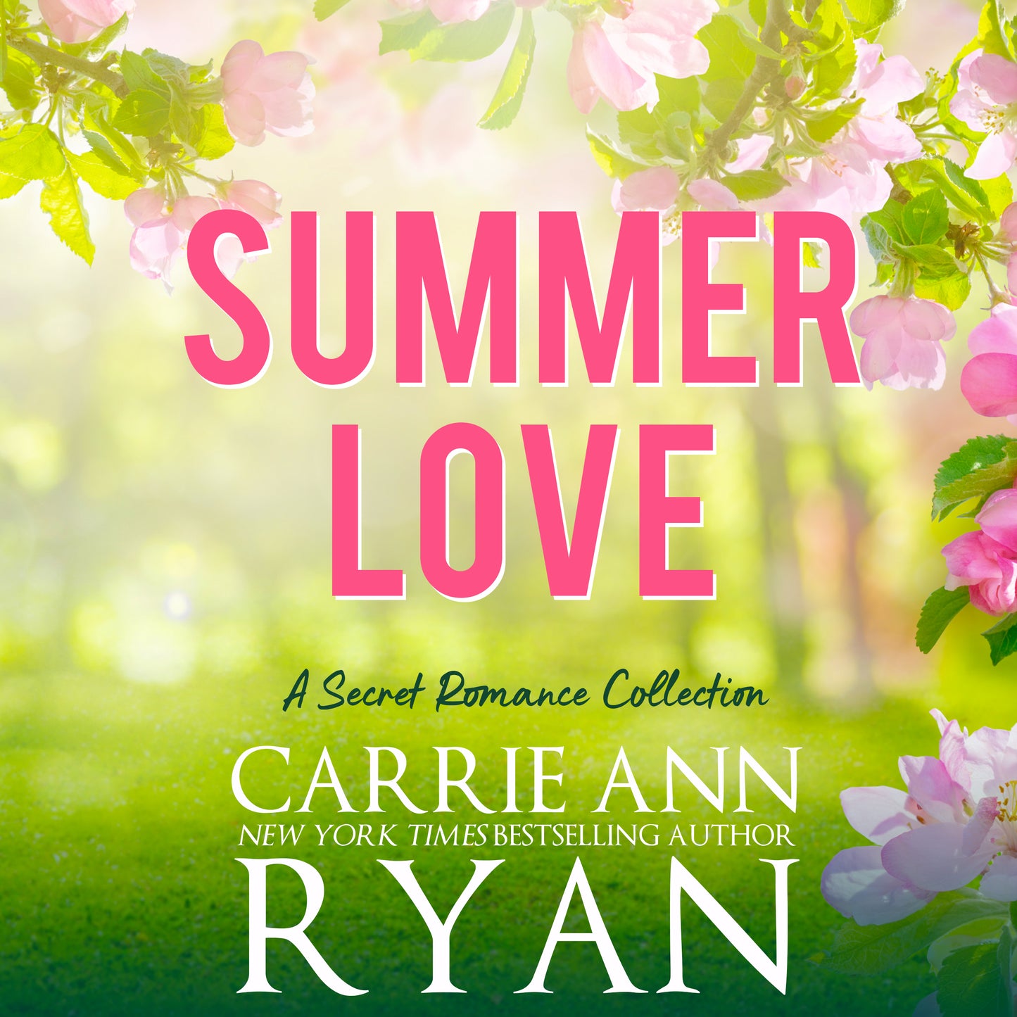 Summer Love: A Secret Romance Collection Audibook