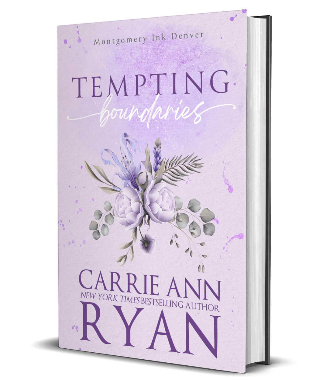 Tempting Boundaries - Special Edition Hardcover