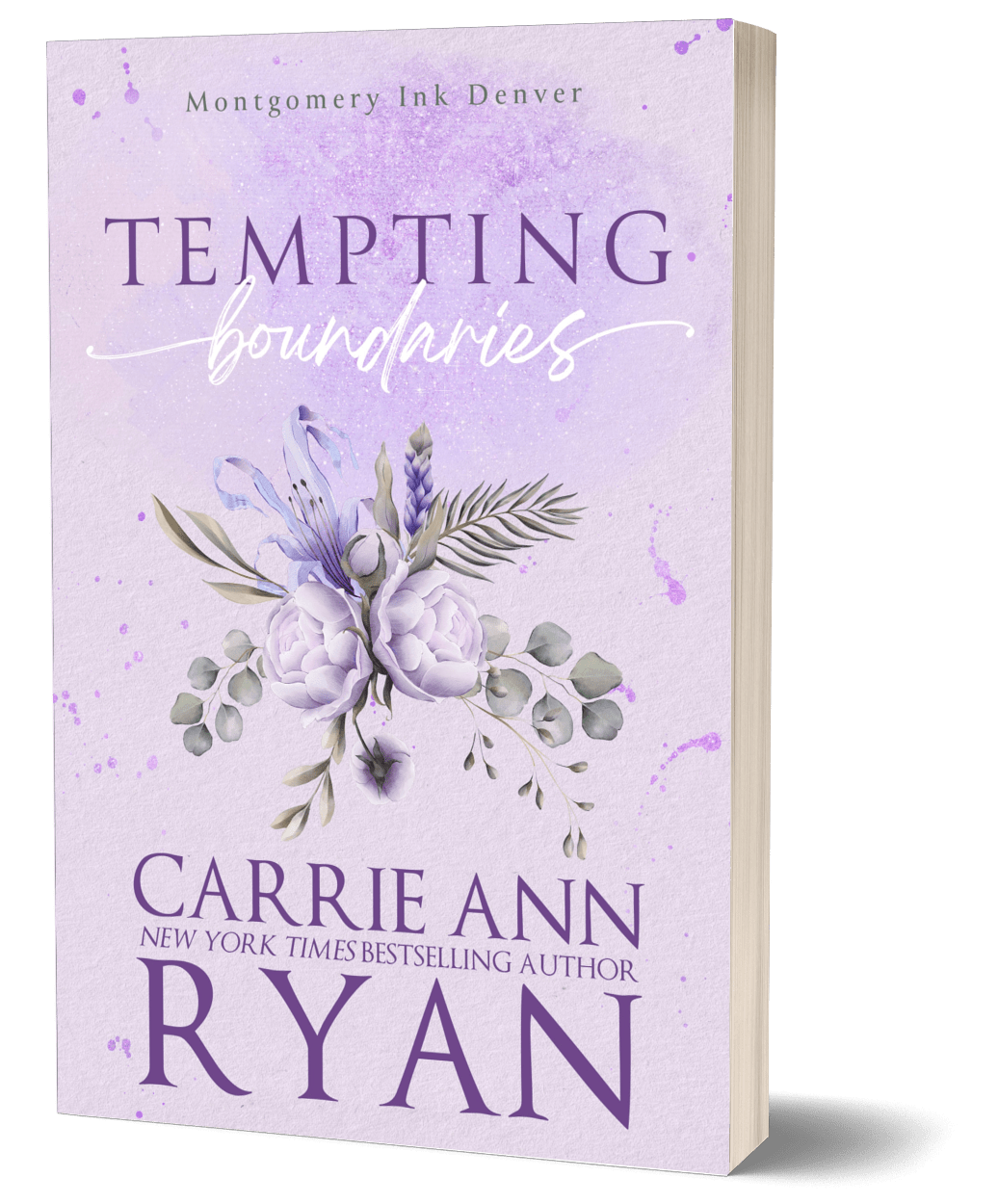 Tempting Boundaries - Special Edition Paperback