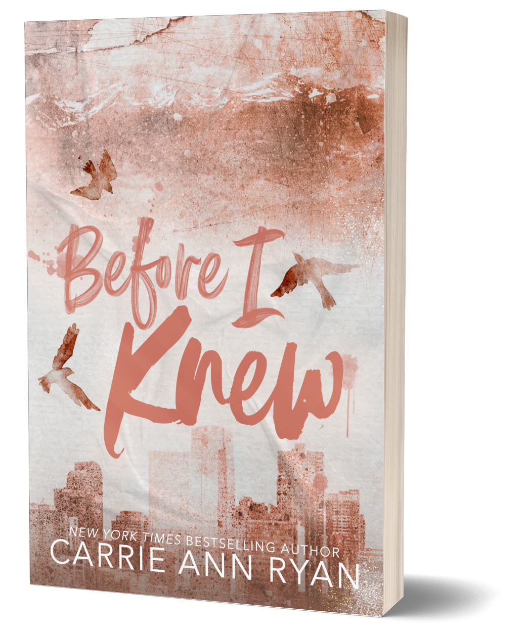 Before I Knew - Special Edition Paperback