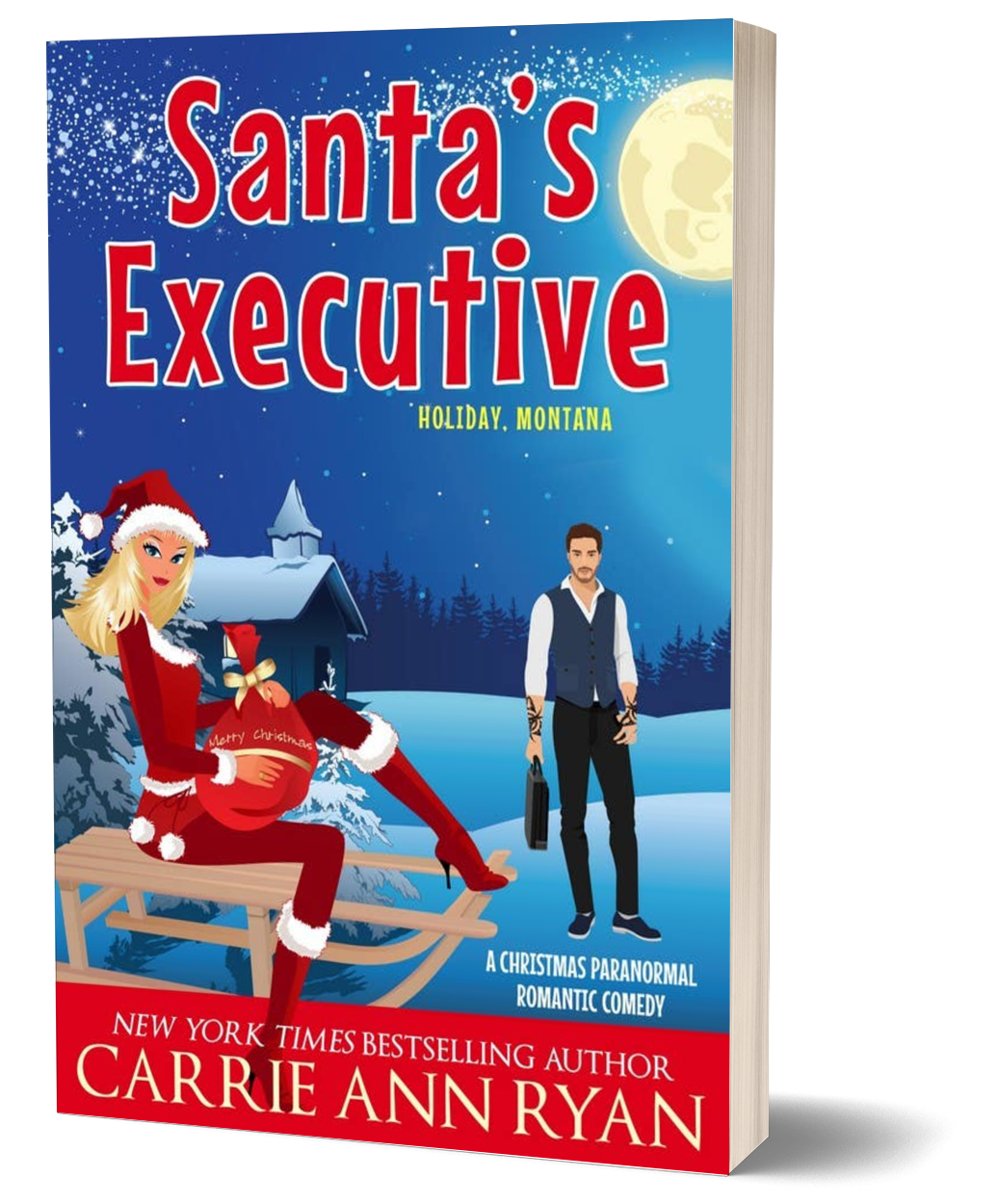 Santa's Executive Paperback