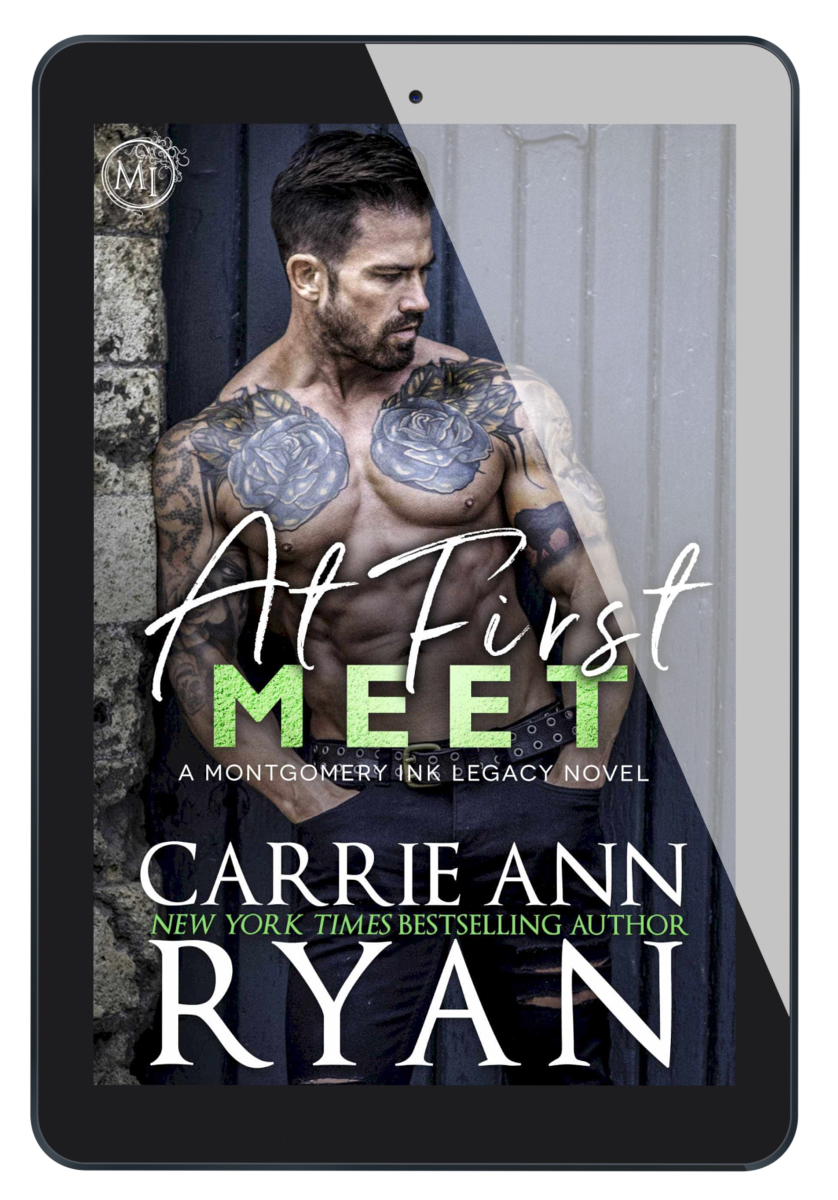 At First Meet eBook