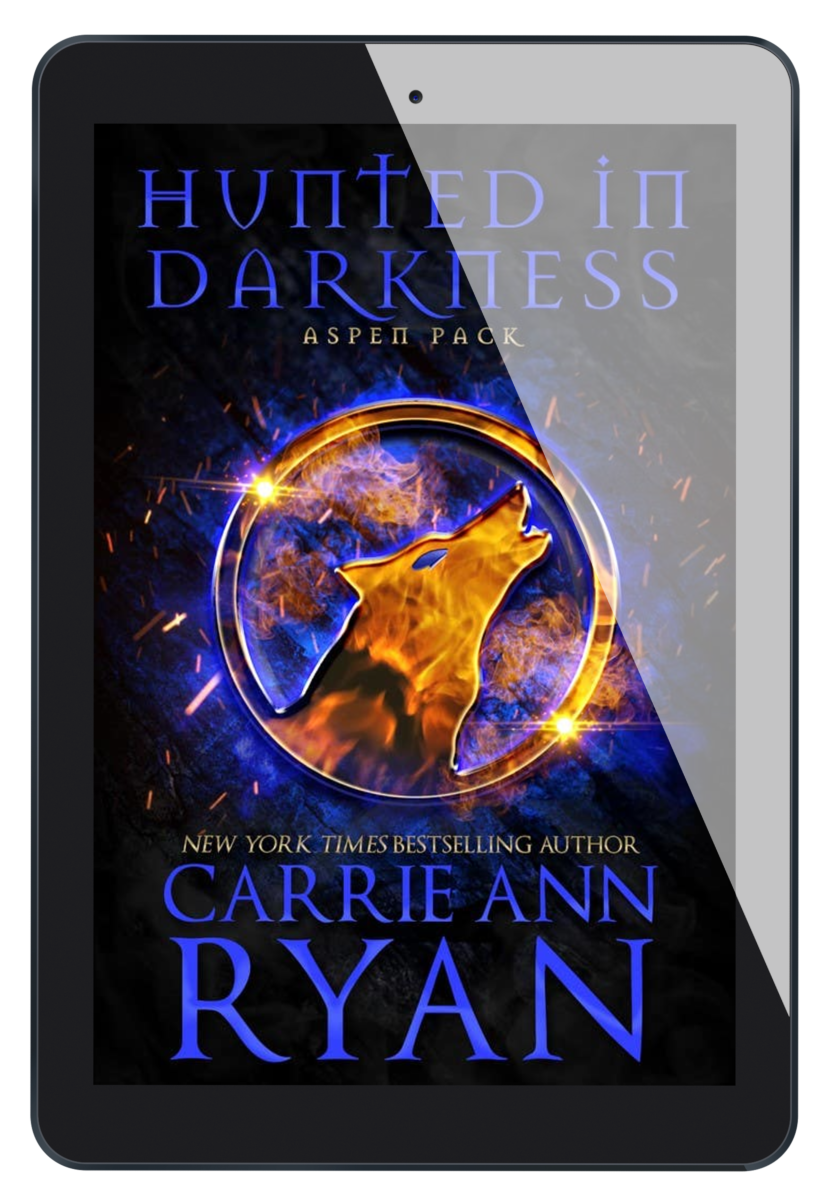 Hunted in Darkness eBook