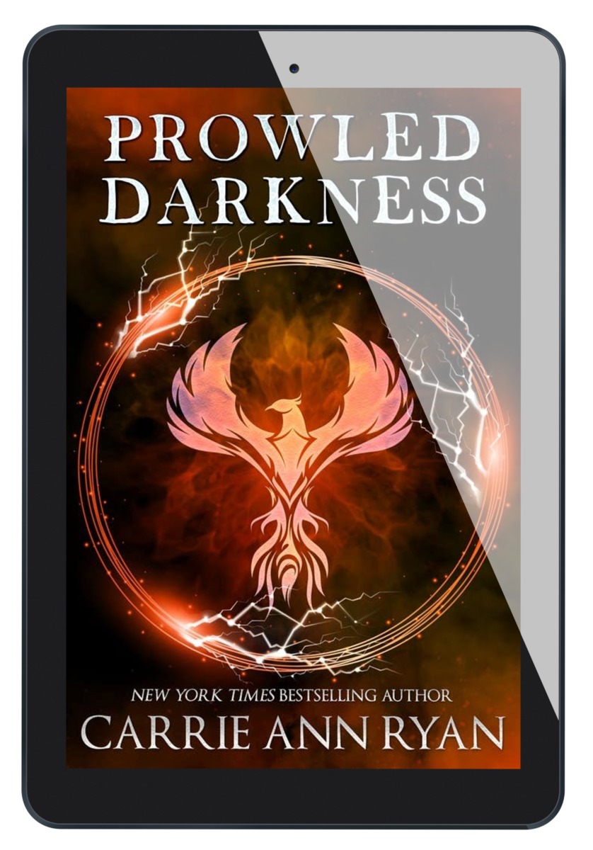 Prowled Darkness eBook