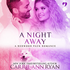 A Night Away - Audiobook