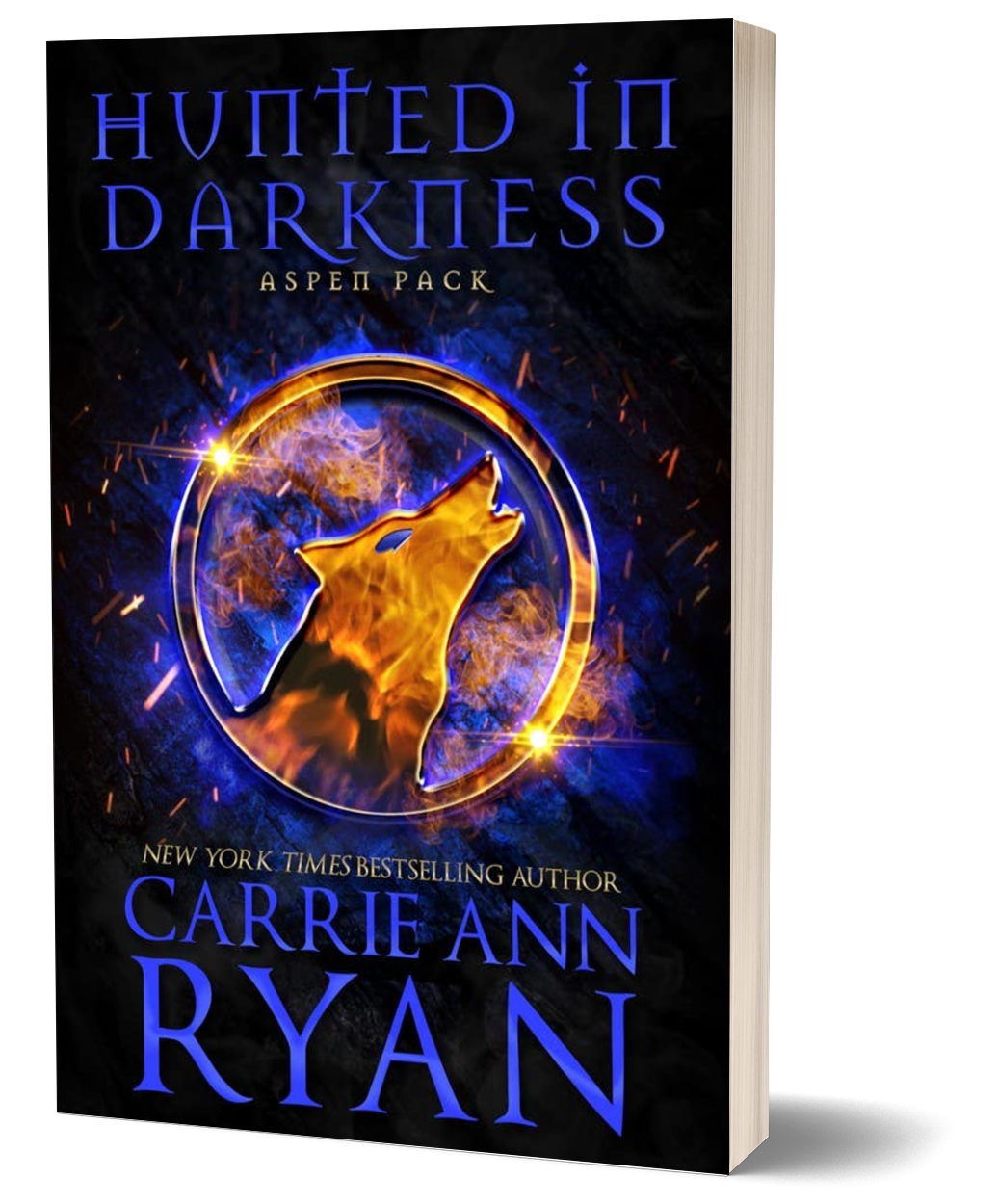 Hunted in Darkness - Paperback