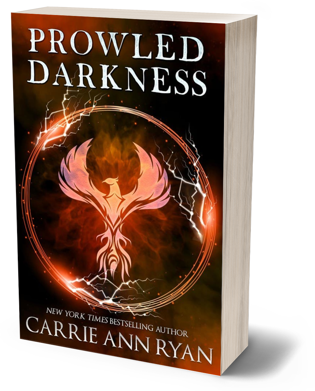 Prowled Darkness - Paperback