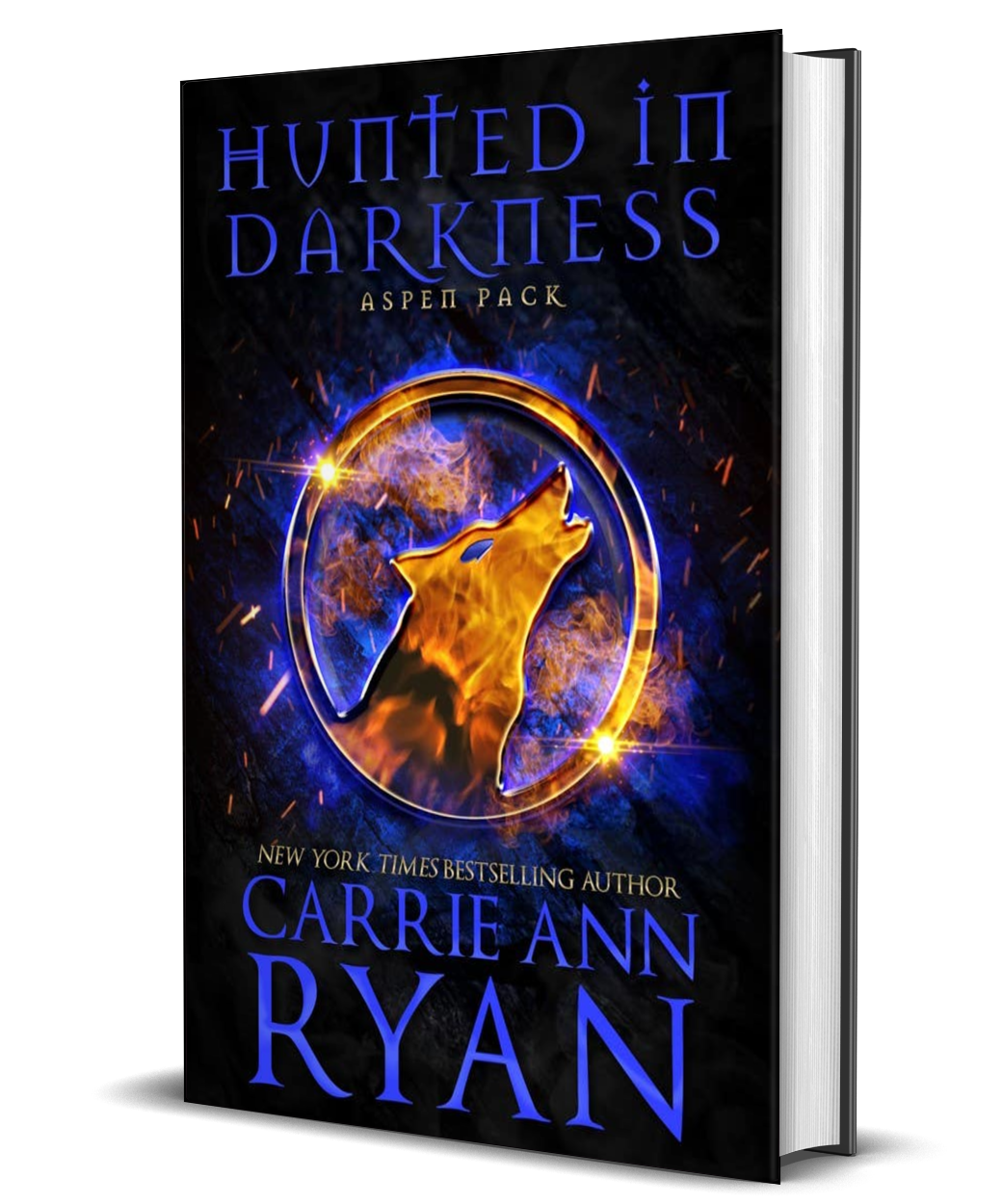 Hunted in Darkness - Hardcover