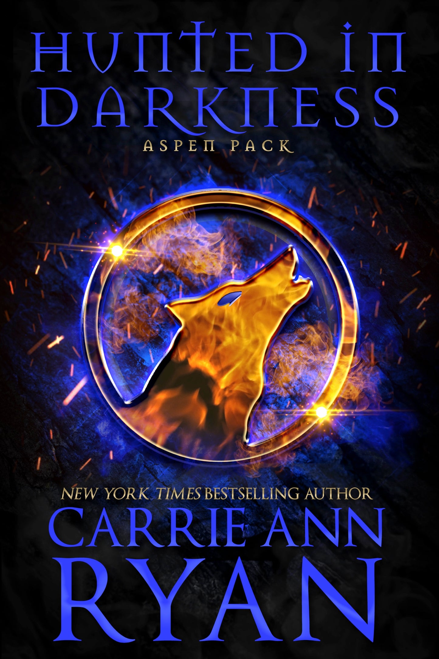 Hunted in Darkness eBook